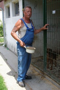 Jozsi